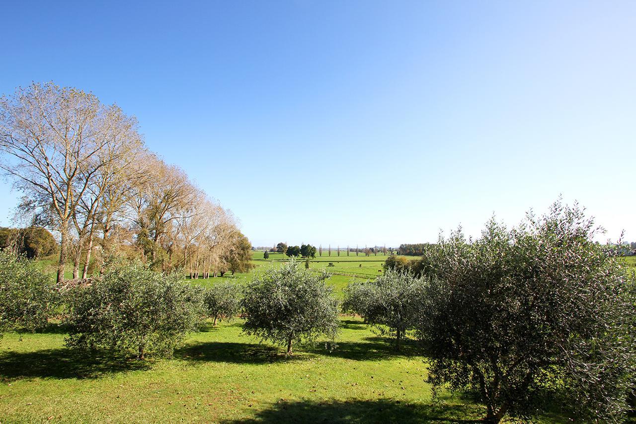 Ohaupo Olives Bed & Breakfast Luaran gambar